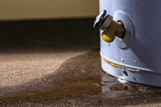 Best Flood restoration services  in Cabin John, MD