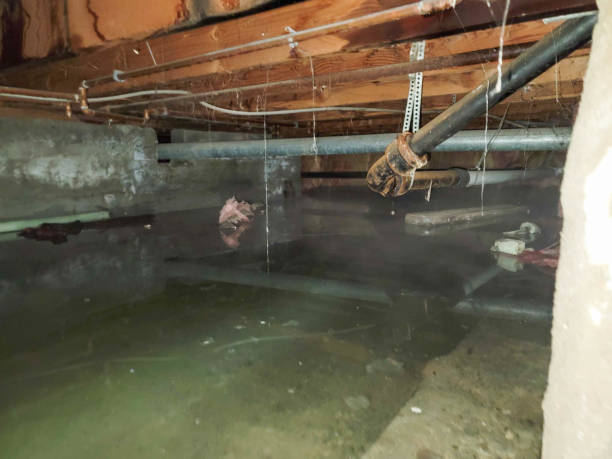 Best Residential water damage restoration  in Cabin John, MD