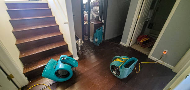 Best Water damage restoration near me  in Cabin John, MD
