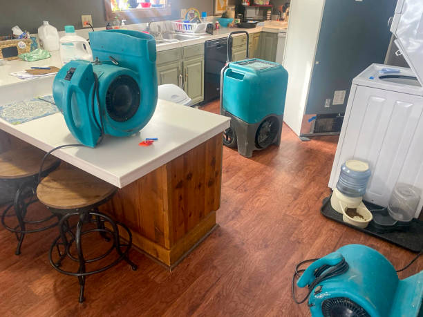 Best Water damage restoration near me  in Cabin John, MD