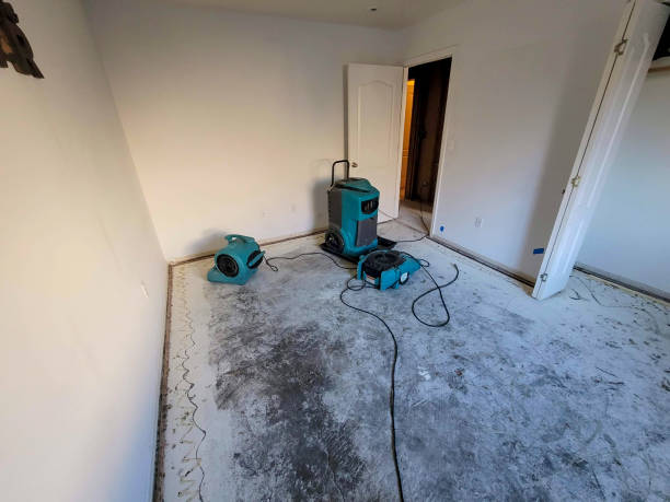 Best Sewage cleanup and water damage restoration  in Cabin John, MD