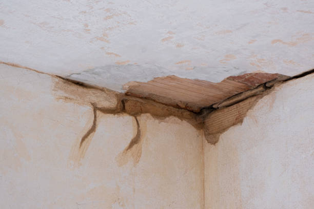Best Mold removal after water damage  in Cabin John, MD