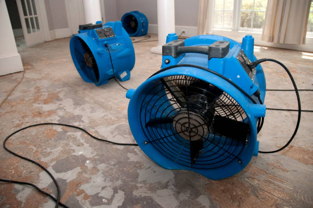 Best 24-hour water damage restoration  in Cabin John, MD
