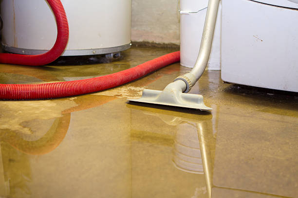 Best 24/7 water damage repair  in Cabin John, MD